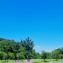 미단행복로 이미지