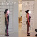 영스필라피티 네이버블로그