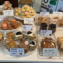 지축초등학교 이미지