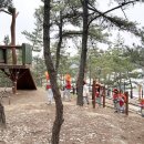 유아숲화장실 이미지