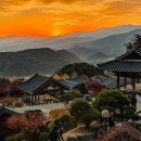 경북 영주 가볼만한곳 부석사 일몰 사과따기 체험 국립산림치유원 숙소 맛집 카페 :: 부석사, 사과가 맛있는 집, 국립산림치유원 이미지