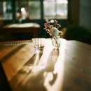 햇살좋은 이미지