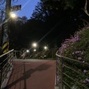 단대공원 농구장