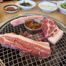 한라산둘레길 사려니숲길 네이버블로그