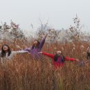 용미초등학교 Daum카페