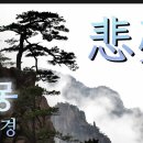 비몽 이미지