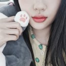 ☘😌🐈11월의 일상💙😬🌈