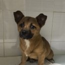 조마루로358번길 이미지