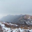 다보중앙