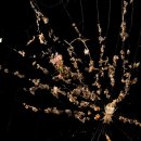 gc-camera-049 이미지