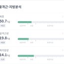 팀윤짐