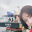 [속초 낚시 체험 가격, 비용, 시간]데이트 놀거리 모래기호 추천