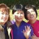 남초등학교 이미지