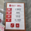 영종도 카페 (구읍뱃터 쪽) 사진 찍기 좋은 [평상인 제빵소] 카페