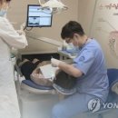 보은연합치과 연합뉴스