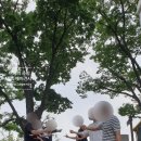 투투에이전시 이미지