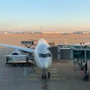 영희네쌈밥 | 크리스마스엔 뉴욕 여행을 가요 - 1편(입국 심사, MPC, 조스피자, 트라이베카 동네, 브루클린브릿지...