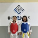 신광태권도 이미지