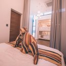 오드스테이 이미지