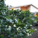 스테이3355 이미지