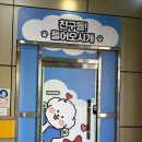 오렌지 애견카페 | 천안 신방동 실내 애견카페 후기!하랑이랑애견카페