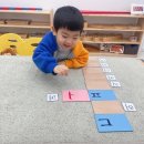 세종 스콜라몬테소리, 1년 10개월 수업후기 (만3세42갤)