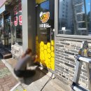 크로플bee 이미지