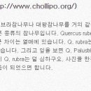 박성철농장 이미지