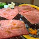 페퍼밀 | 삿포로 스스키노 와규 야키니쿠 맛집 야끼니꾸 츠바메 노미호다이 솔직후기(ft.금연, 예약방법)
