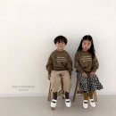 모티콩