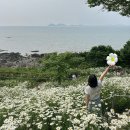2일 여행기] 시고르잡화점, 슬지제빵소, 내소사, 변산마실 2코스 데이지, 내변산 등산, 돌개 마실 캠핑장
