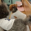 기린동물병원 이미지