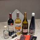 주식회사 픽앤픽 | 서울주류박람회마곡 마주박 다녀온 후기(주말 입장, 부스 추천, 술 추천, 전통주, 부자진, 와인)