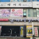 은행나무 갈매기 이미지