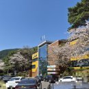 장복산길 | 진해 시내가 한눈에 내려다보이는 곳, 마음이 편안해지는 삼밀사 방문 후기 [ 진해 가볼만한 곳 ]