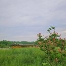 연꽃도서관 이미지