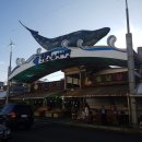 국토종주 동해안 1구간 마지막 ( 바쁘다 바뻐) 이미지