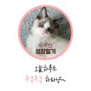 바른동물메디컬센터 이미지
