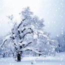 사라져가는 목소리들 이미지