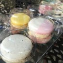 상남동237 이미지