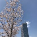 경성행정사사무소 이미지