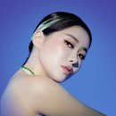 와사비 스포티비뉴스