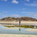 영주 무섬마을 이미지