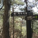 솔벗 이미지