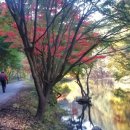 성수산목장 이미지