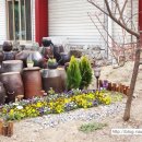 육남매별빛촌 이미지