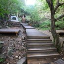 대운산 자연휴양림 캠핑장 이미지