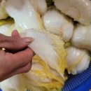 화원농협김치가공공장 이맑은김치 해남 절임배추 김장양념세트