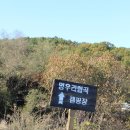 [47th 포천 멍우리협곡 캠핑장] - 힐링 가족캠