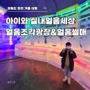 은곡초교입구교차로 | 화천 산천어축제 실내 얼음조각광장 아이와 얼음썰매·선등거리 야경